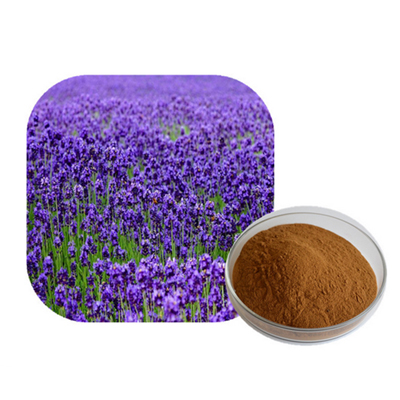 Lavender  Extract