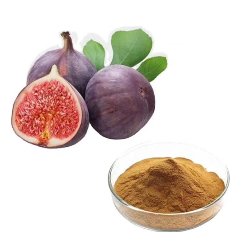 Fig-Extract-